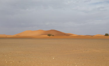 Saharan dunes rising from desert floor at Erg Chebbi