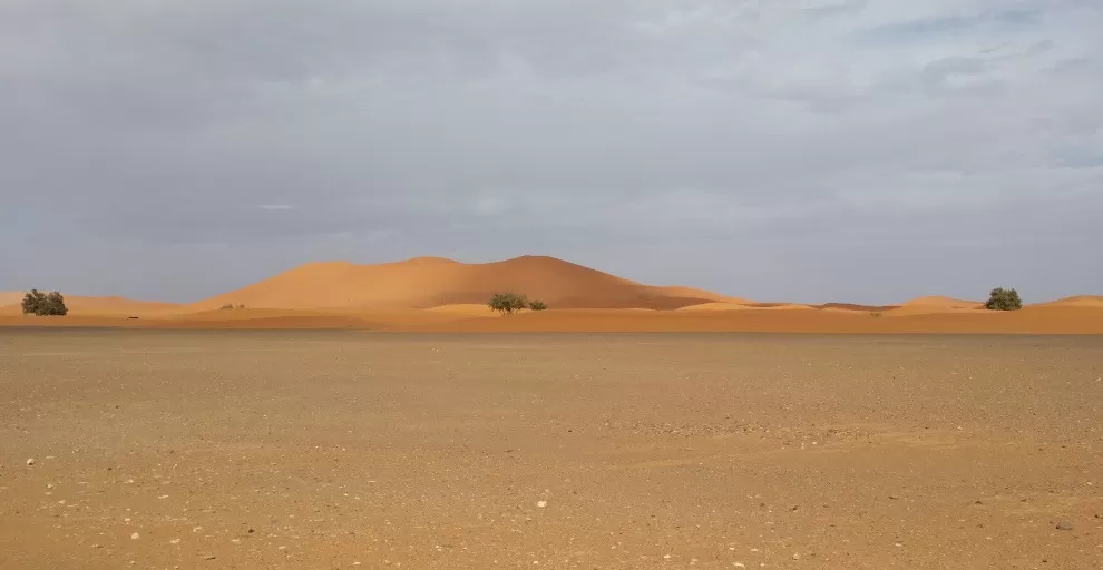 Saharan dunes rising from desert floor at Erg Chebbi