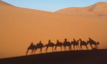 shadow of camel caravan against big dunes of Erg Chebbi