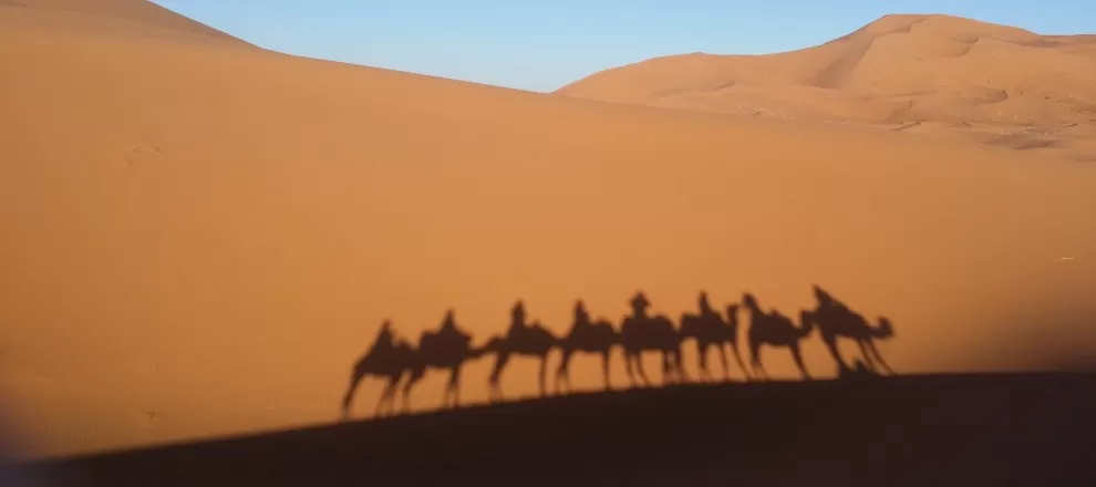 shadow of camel caravan against big dunes of Erg Chebbi