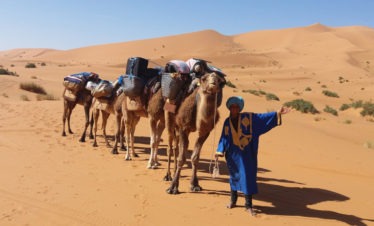 camelman in traditional blue garment with string of saddled, laden camels in front of big dunes