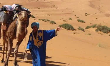 camelman with laden camel caravan in dunes