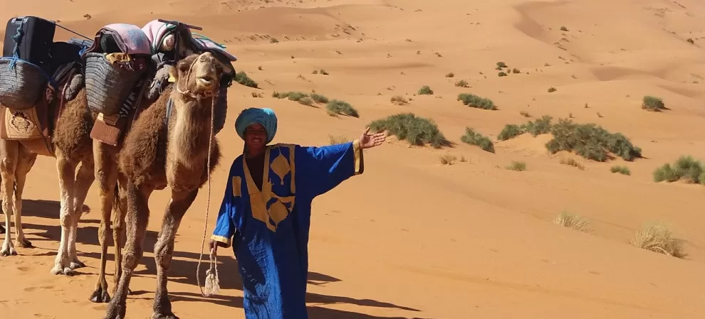 camelman with laden camel caravan in dunes