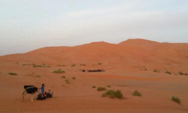 camels at a distant desert camp in the dunes - gallery image for 8 day Morocco itinerary from Tangier to Marrakesh - Mountains, Medinas & Nomad Tents