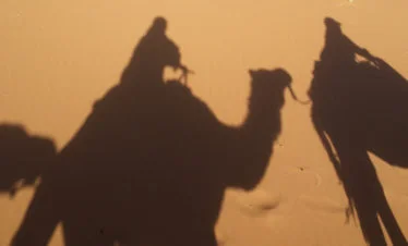 Camel caravan shadows on golden sand