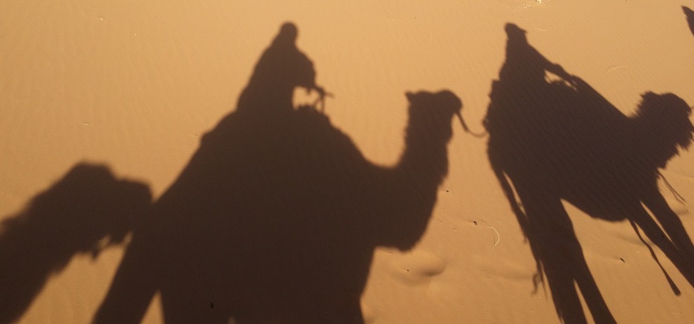 Camel caravan shadows on golden sand