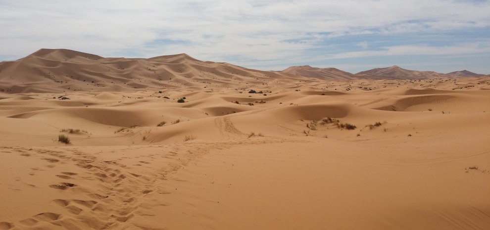 camel-tracks-in-dunes-2-990×464
