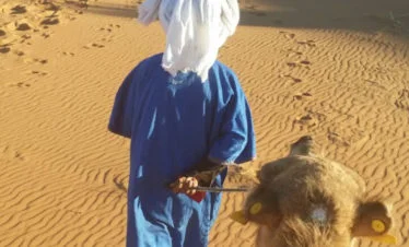 camelman leading caravan into dunes - as seen from lead camel