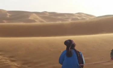 camelman leading camel into windy dunes, as seen from behind - gallery image for 10 day Morocco tour from Casablanca - "Imperial Cities, Majestic Dunes" - 10 day Morocco itinerary