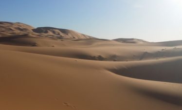 big golden dunes of Erg Chebbi in late afternoon sun