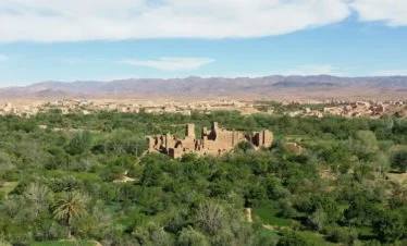 view of kasbah in green valley with mountains in background, at Kalaat M'Gouna (Valley of the Roses)