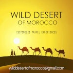 logo - Wild Desert of Morocco - Affordable Custom Tours - Wild Desert of Morocco