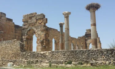 Roman ruins - partial walls & pillars, with stork's nest on top of pillar - Volubilis