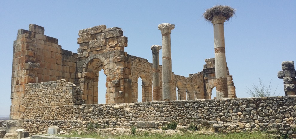 Roman ruins - partial walls & pillars, with stork's nest on top of pillar - Volubilis