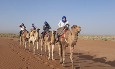 camel caravan at Erg Chigaga