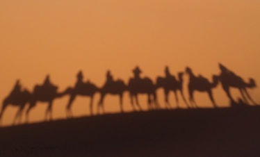 shadow of camel caravan against big dune