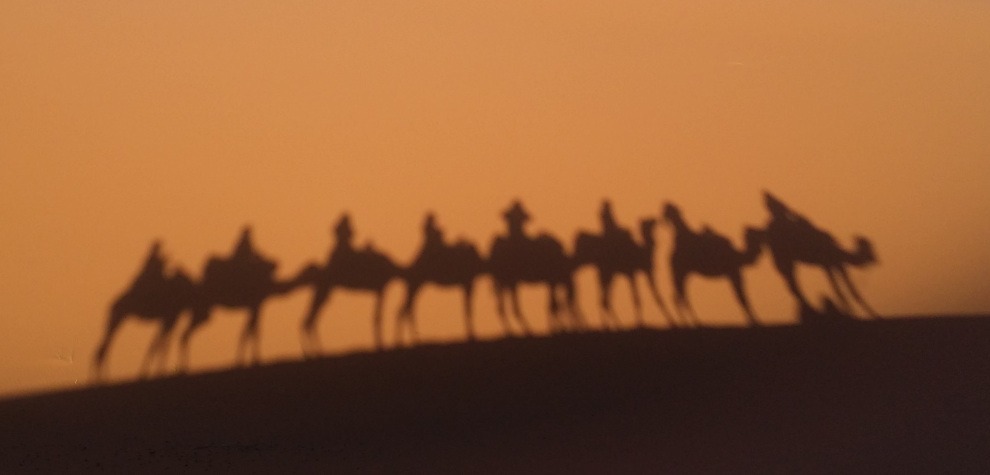 shadow of camel caravan against big dune