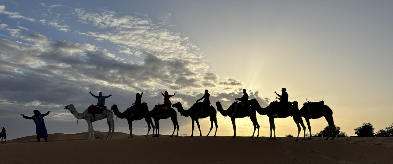 feature image for Popular Activities - Things to do in Morocco page - Wild Desert of Morocco