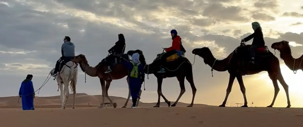 feature image for Camel-trekking in the Sahara page - Wild Desert of Morocco