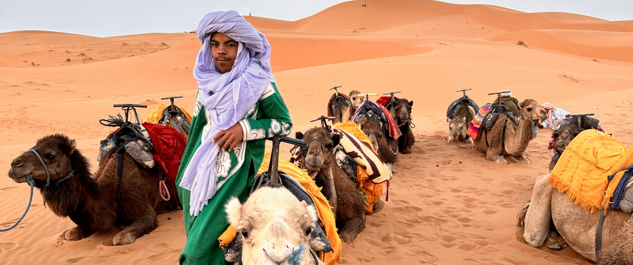 feature image for Tours from Fes - Wild Desert of Morocco