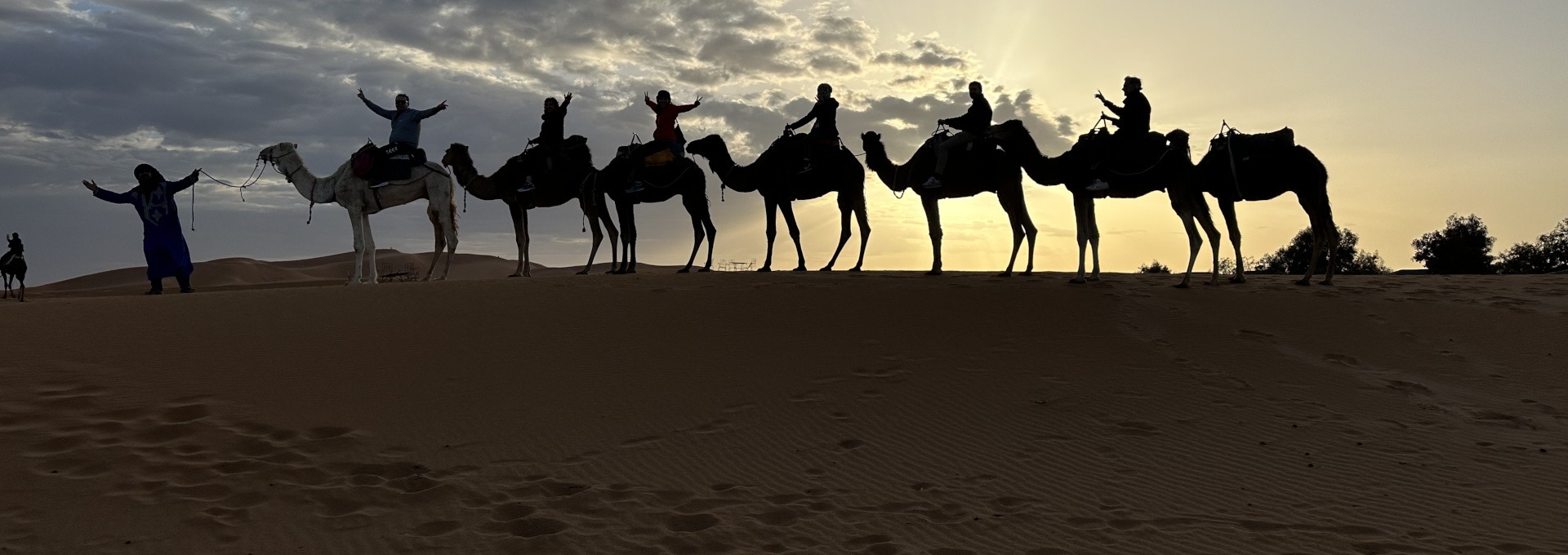 Camel-trekking Tours